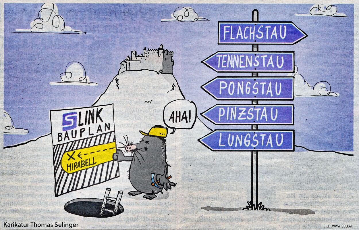 Selinger-Karikatur S-Link und Stau